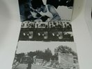 Lp Record 80410-1 The Slackers Question Two - Vinyl  Album