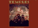 Temples - Hot Motion [Limited UK Import Deep Red Color Vinyl]