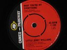 LITTLE JERRY WILLIAMS: just what do you plan to do about it CAMEO PARKWAY 7