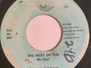 Rare Ohio Garage 45/ Next Of Kin 