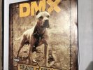 DMX Grand Champ Vinyl 2 LP RECORD Rare Promo