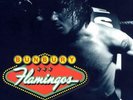 BUNBURY: FLAMINGOS (LP vinyl *PRE-ORDER*.)