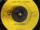 The Kandells 45 GARAGE ROCKER I Want You To Know LISTEN MONSTER RARE VG++