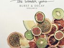 The Wonder Years - Burst & Decay - Volume 2 (Hopeless) 12