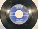 Richard Bros.: ?? Gonna Work RARE LOUISIANA ROCKABILLY 45
