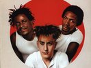 The Fun Boy Three Vinyl 12