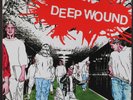 DEEP WOUND: deep wound DAMAGED GOODS 12