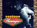 Bunbury Flamingos 2LP + CD SOLD OUT New