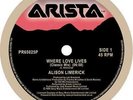 Alison Limerick Where Love Lives Ltd 12 