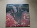 Rolling Stones GOAT'S HEAD SOUP 2LP clear vinyl. Still sealed MINT