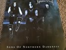 Immortal - Sons Of Northern Darkness - LP 2002, 1st Press, Vinyl, Top- Zustand