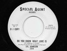 Syl Johnson - Do You Know What Love Is / The Love I Found In You (Soul, 45) 200