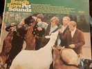 The Beach Boys 