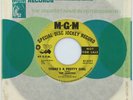 Juniors Mick Taylor There's A Pretty Girl / Pocket Size VG Garage MGM K13271 45
