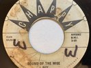 U-Roy / Viceroys - Sound of the Wise / Promises 45 Chappy Roots Reggae mp3