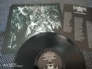 Graveland - Carpathian Wolves LP