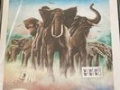 Elvis Costello and the attractions mobile fidelity