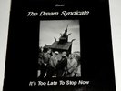 DREAM SYNDICATE -  TOO LATE TO STOP LIVE LP opal rain parade
