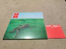 SQUID BRIGHT GREEN FIELD 2 X LP RED VINYL GATEFOLD SLEEVE + CD