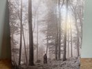 TAYLOR SWIFT FOLKLORE DELUXE COLOURED VINYL 2LP “IN THE TREES” EDITION