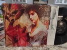 - ENYA - WATERMARK  GEFFEN LP UNPLAYED  NM VINYL LP USA 1989 PRESS