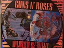 GUNS N ROSES APPETITE FOR DESTRUCTION LP PICTURE DISC