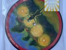 THE FLAMING LIPS - YOSHIMI BATTLES rare German 7 INCH VINYL RECORD BRAND NEW