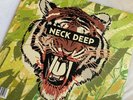 Rain in July/A History of Bad Decisions by Neck Deep LP - Autographed