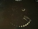 Bartel Self Titled PROMO 12