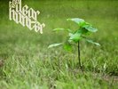 DEAR HUNTER-ACT II: THE MEANING OF & ALL THINGS REGARD (US IMPORT) VINYL LP NEW