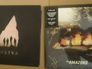 The Amazons - Vinyls Self titled (clear vinyl and signed) & future dust (black)