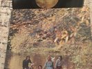LP Wings ‘ Wild Life’