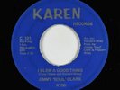 Funk 45 - Jimmy Soul Clark - I Blew A Good Thing - Karen - mp3