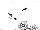 Naomi Lewis - Seagulls And Sunflowers [New Vinyl LP] Black, Ltd Ed, Reissue
