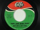 Funk/Sweet Soul 45 - Rudy Love & Family - Does Your Mama Know - Calla - VG+ mp3