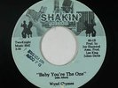 Modern Soul Boogie 45 - Wynd Chymes - Baby You're The One - Shakin' - mp3 rare