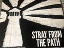 stray from the path vinyl