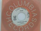 45 RPM ROCK CHICAGO, SATURDAY IN THE PARK / ALMA MATTER