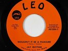 Northern Soul 45 - Jay Rhythm - Wouldn't It Be A Pleasure - Leo - VG+ mp3