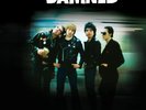 The Damned - Punk Oddities & Rare Tracks 1977-1982 (Colored Vinyl)