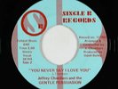 Sweet Soul/Funk 45 - Gentle Persuasion - Never Say I Love You - Single B VG++
