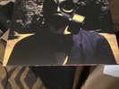 Steven Wilson - Insurgentes [Vinyl LP]