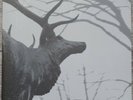Agalloch – The Mantle 2x LP Clear (Grau)- Alcest- Wolves in the Throne Room- Fen