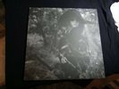 Grouper vinyl record