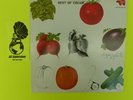 Cream Best Of Cream - LP Record Vinyl Album 12