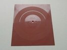 LED ZEPPELIN gallows pole / bron-y-aur-stomp RARE 1970s POLISH FLEXI