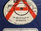 The Marvelettes - Too Many Fish In The Sea. 1964 Stateside DEMO.