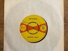 Blues / Mod - HOMESICK JAMES - SET A DATE / I CANT AFFORD TO DO IT SUE WI 330