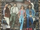 The Who Who Are You PICTURE DISC 1978, Mint