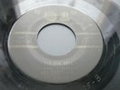 Rare RAY SCOTT And The Shades RIO DIA ROSA  '61' 3426 Rockabilly Rocker 45